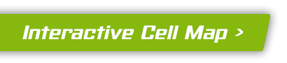 Interactive Cell Map
