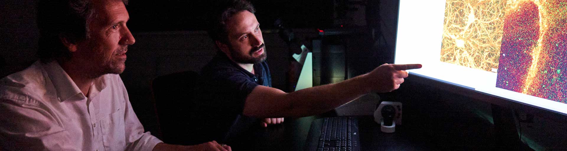 Scientists at work discussing microscopic images on a screen