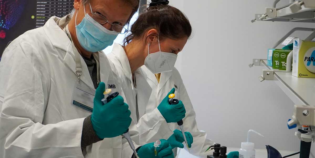 Impressions from abberior's course at EMBL from 19/09 to 24/09/2022: sample preparation