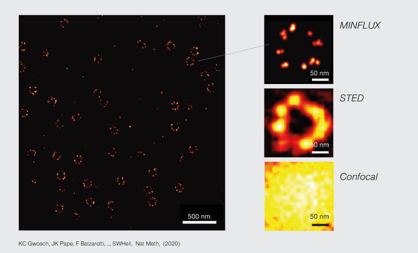 2D MINFLUX nanoscopy of subunits of the nuclear pore complex with a comparison of the resolution of MINFLUX, STED and confocal microscopes.