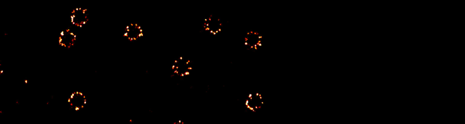 2D MINFLUX image stained with abberior DNA-PAINT MINFLUX RED