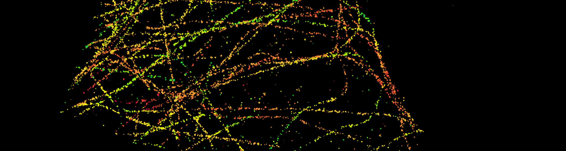 abberior DNA-PAINT kits for MINFLUX, two dyes (580 und 660 nm), three configurations (anti-GFP, anti-mouse, anti-rabbit)