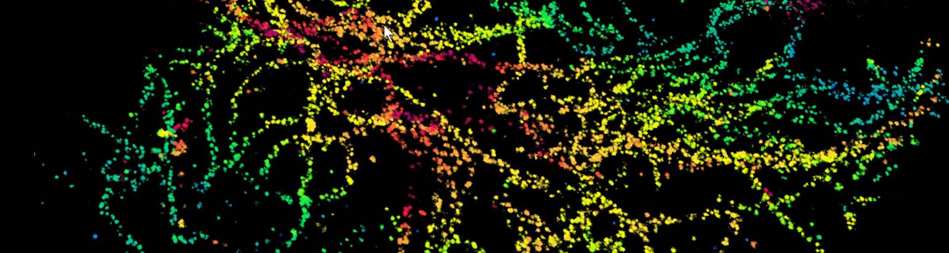 DNA-PAINT, FLASH labeling protocol