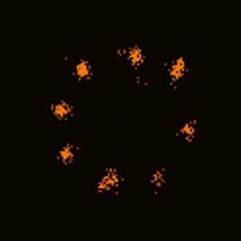 2D MINFLUX image of nuclear pore complex subunits. Fixed mammalian cells expressing SNAP-tag® NUP96 were labeled with abberior FLUX 647 SNAP.