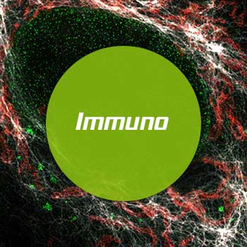Immuno labeling protocol