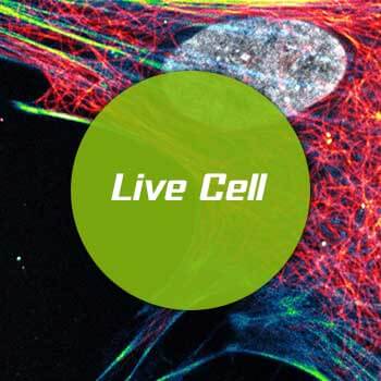 Live cell labeling protocol