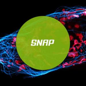 Protocols Archive - @abberior.rocks