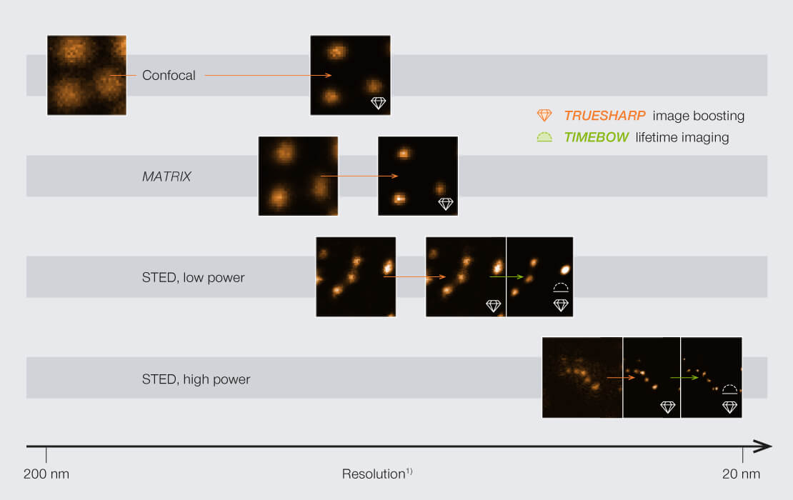 An overview of abberior's technologies and  their resolution and how to further improve the resolution with TRUESHARP image boosting and TIMEBOW lifetime imaging.