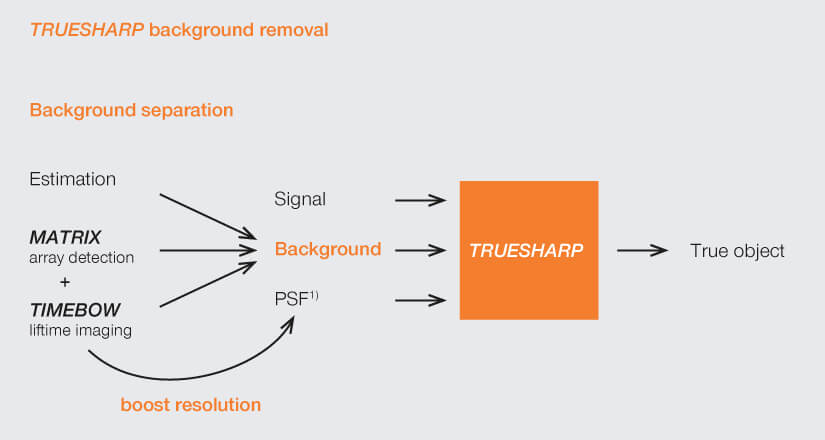 Background removal and image boosting with abberior's TRUESHARP deconvolution