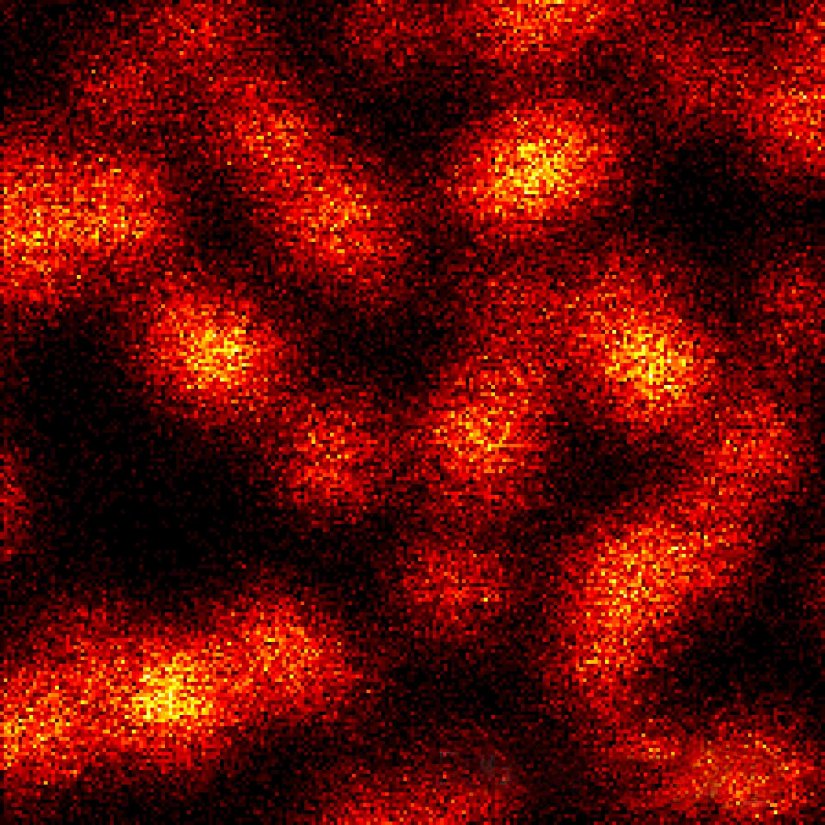 2D MINFLUX nanoscopy of the nuclear pore complex subunits, labeled with abberior FLUX 647 conjugated to JIR AffiniPure-VHH Fragment antibodies (secondary nanobodies). In contrast to confocal microscopy, 2D MINFLUX allows visualization of the shape and arrangement of individual nuclear pore complex subunits. Here, we reach localization precisions of ~ 2 nm in raw localization data.