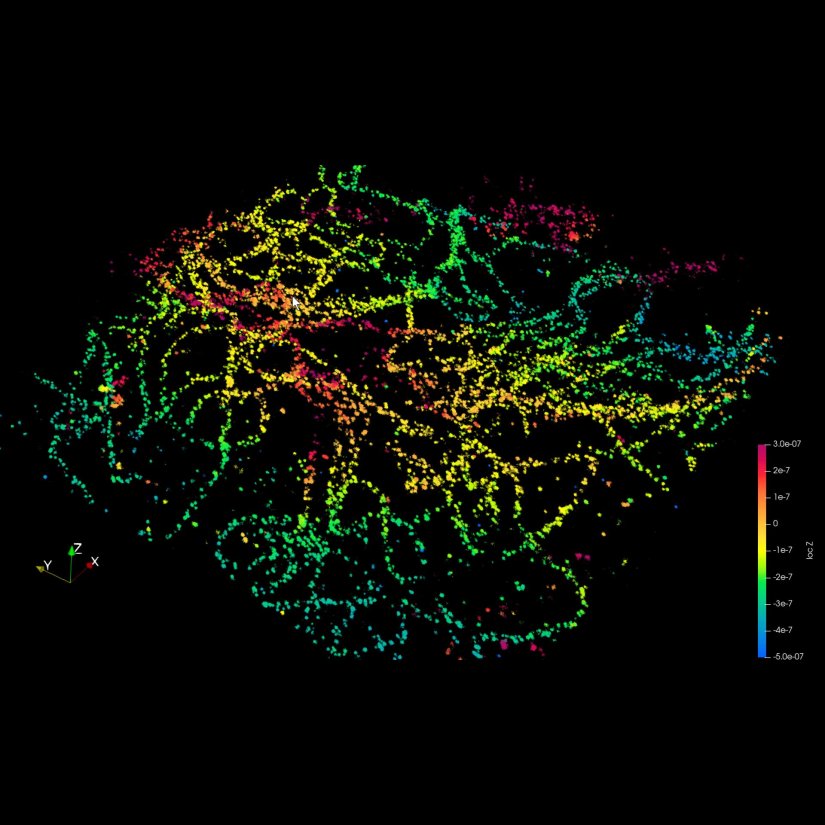 3D MINFLUX image of Vimentin, stained by a mouse anti-Vimentin IgG1 primary antibody and abberior DNA-PAINT FLASH anti-mouse 660.