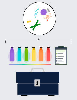 CRO services: en-to-end-workflow, step 2