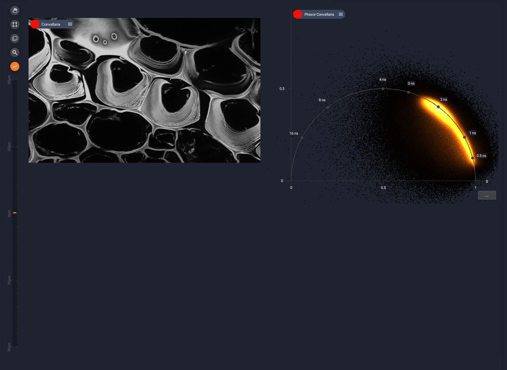 TIMEBOW lifetime imaging, LiGHTBOX phasor plot
