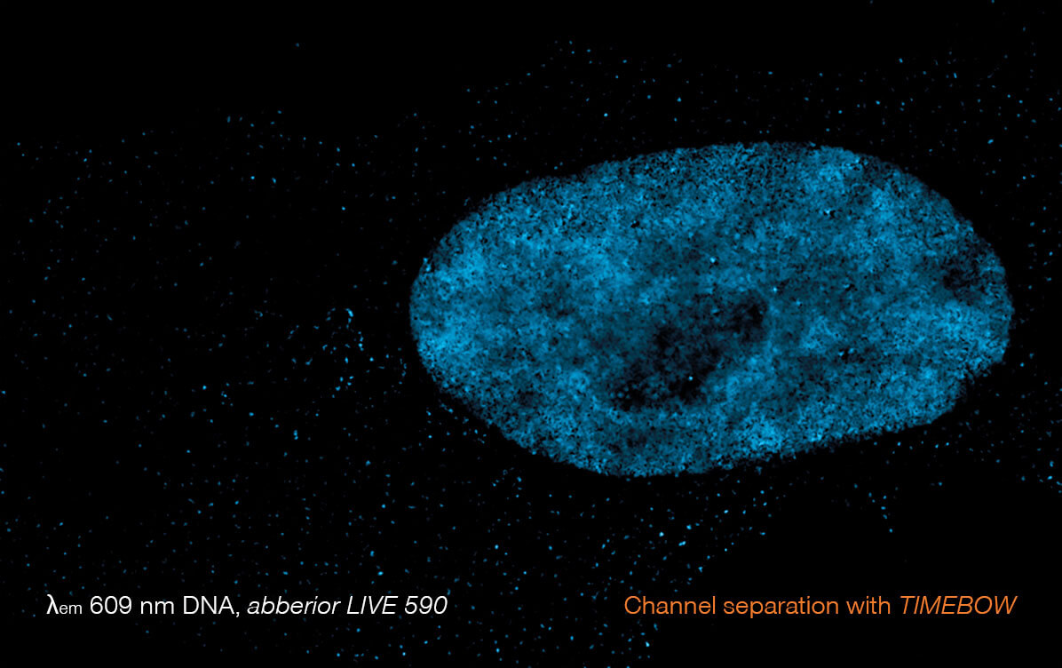 5-color STED image, DNA channel, TIMEBOW separation