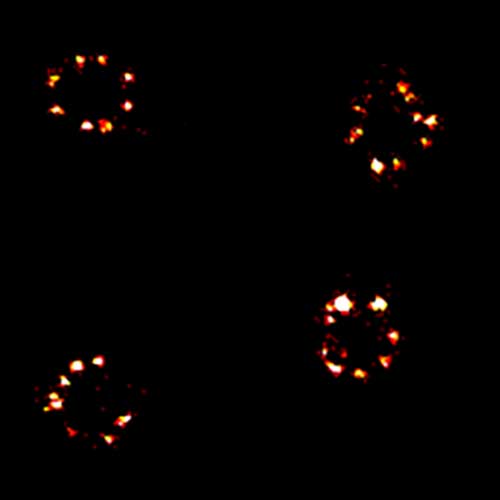 Section of a MINFLUX image of nuclear pores NUP96 with single-molecule resolution