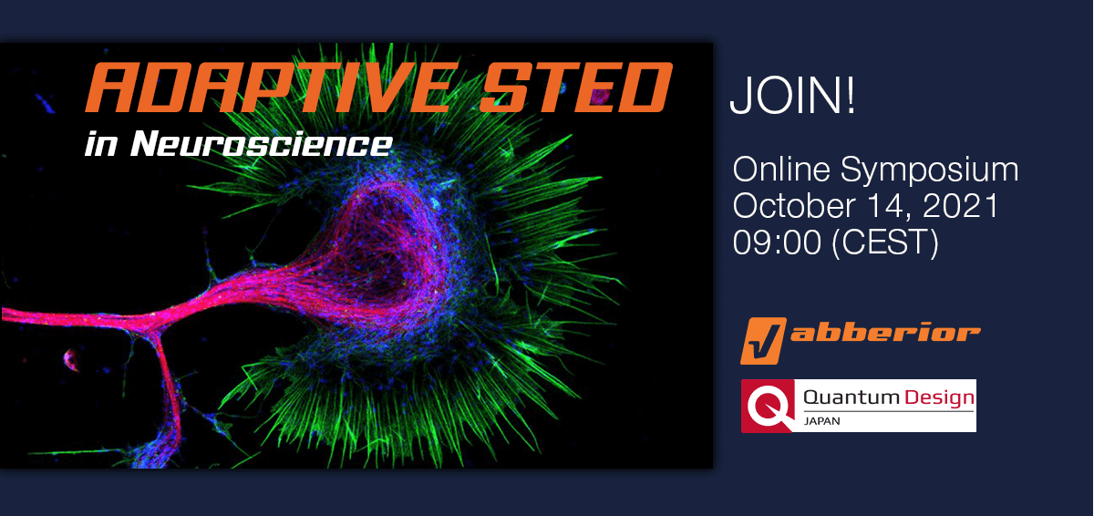 Join abberior and QuantumDesign Japan on an online symposium on adaptive STED in neuroscience