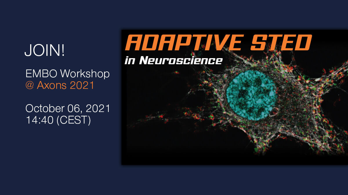Join abberior's EMBO Workshop at Axons 2021 all about adaptive STED in neuroscience