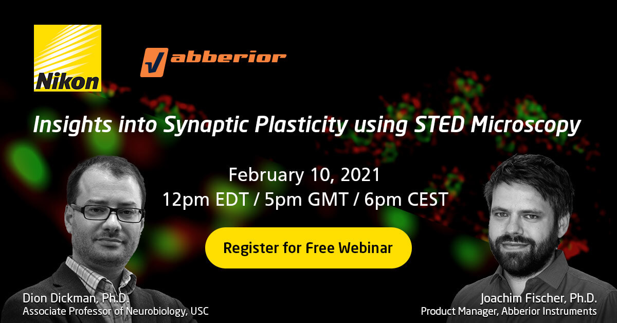 Watch Nikon's and abberior's joint webinar on synaptic plasticity using STED