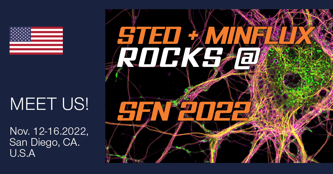STED and MINFLUX rock @ SFN 2022