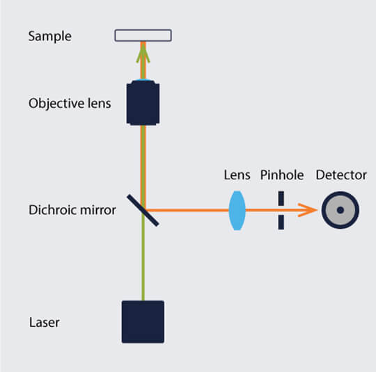 Schematic setup and beampath of a confocal microscope