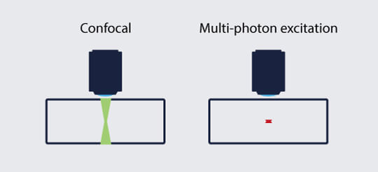 Figure illustrating that in multi-photon microscopy fluorophore excitation is effectively confined to the focal plane while in confocal microscopy fluorophores are also excited above and below the focal plane