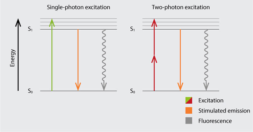 Jablonski diagrams illustrating the difference between single-photon excitation and two-photon excitation