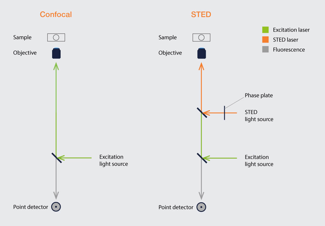 Comparison of the basic setups for confocal and STED microscopy