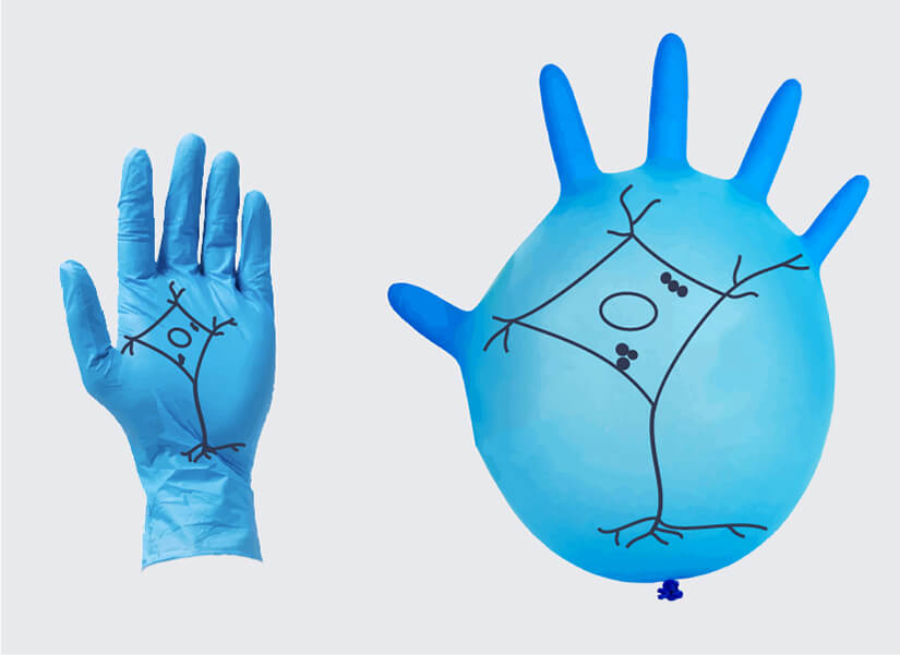 Illustration of the expansion microscopy principle: Akin to drawing an image on a lab glove and then inflating the glove, a hydrogel matrix is used for expansion microscopy to expand the sample.