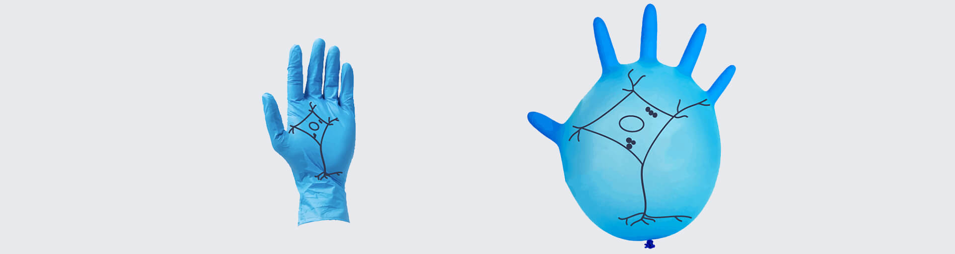 Illustration of the expansion microscopy principle: Akin to drawing an image on a lab glove and then inflating the glove, a hydrogel matrix is used for expansion microscopy to expand the sample.