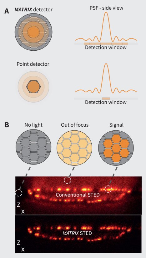 MATRIX STED – many eyes see more than one