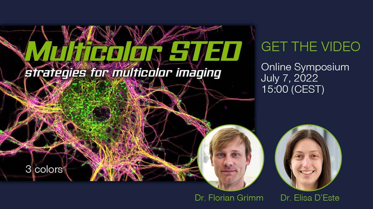 Multicolor STED - strategies for multicolor imaging. Get the video recording!