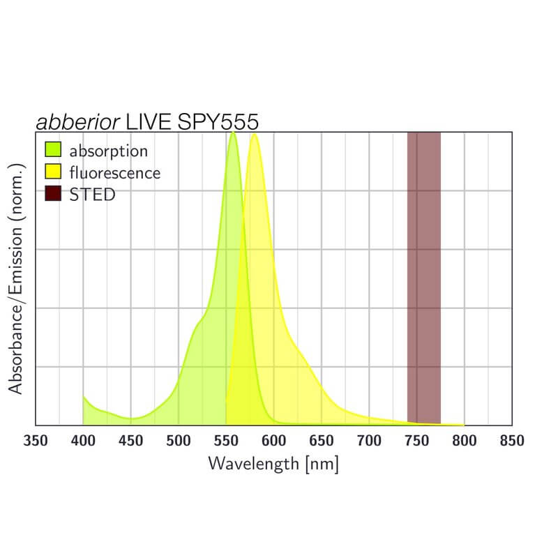 Spectrum of abberior LIVE SPY555