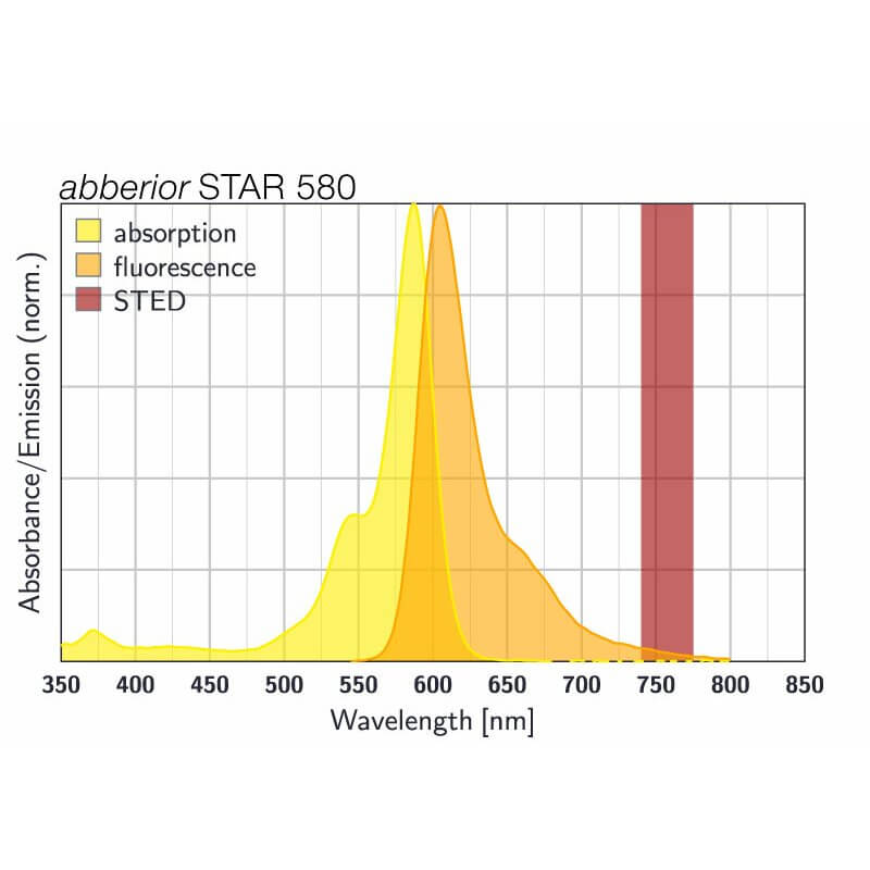 Spectrum of abberior STAR 580