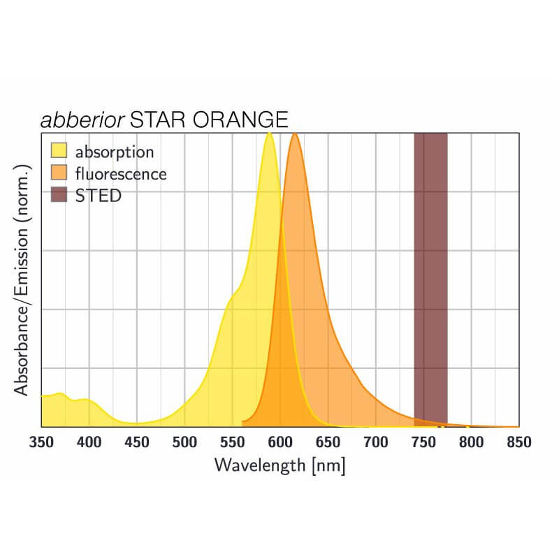 Absorption and emission spectra of abberior STAR ORANGE
